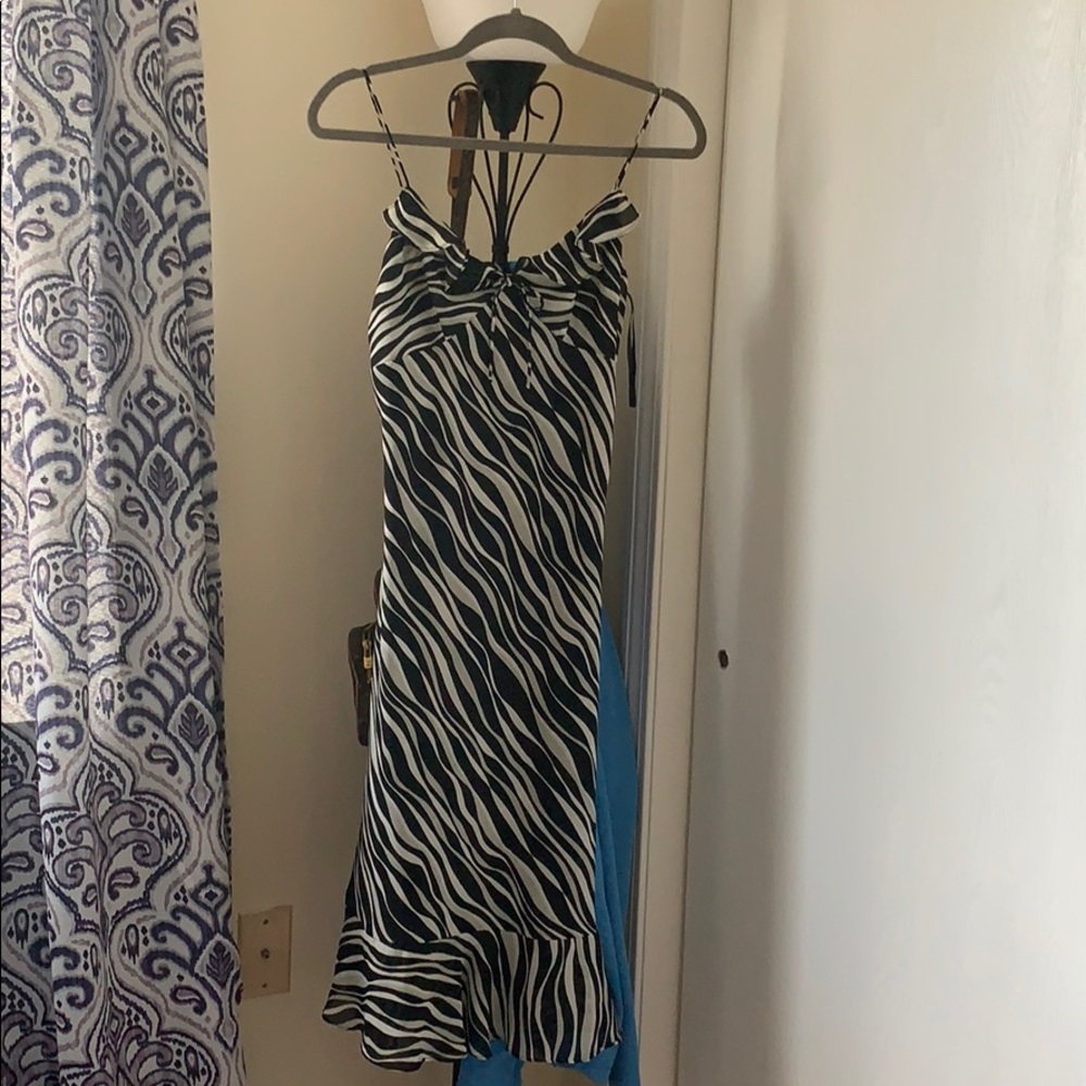 Express zebra 🦓 summer dress 👗